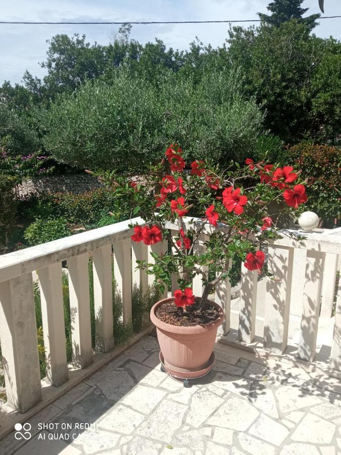 Apartman Hibiskus بول المظهر الخارجي الصورة