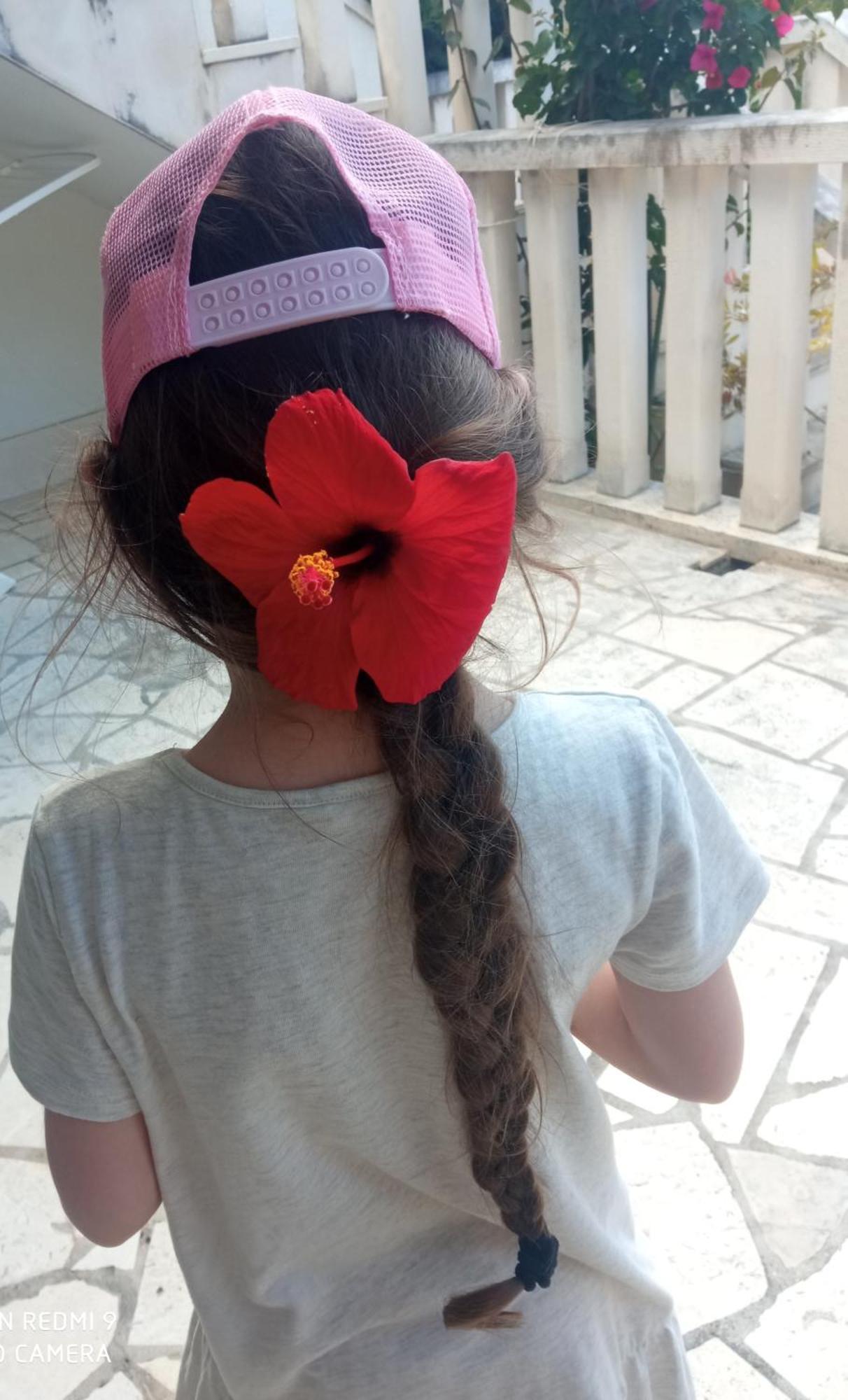 Apartman Hibiskus بول المظهر الخارجي الصورة